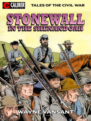 cover image of Stonewall in the Shenandoah
